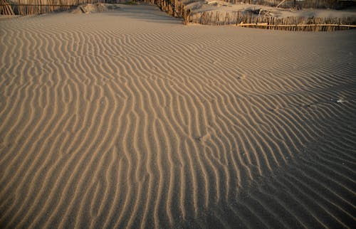 Free stock photo of sand dune