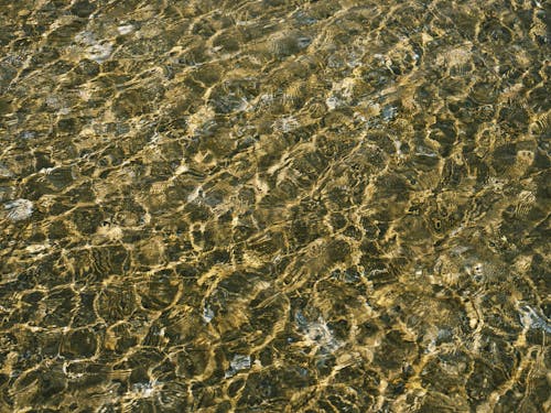 Photo of Ripples in a Shallow Sea Water
