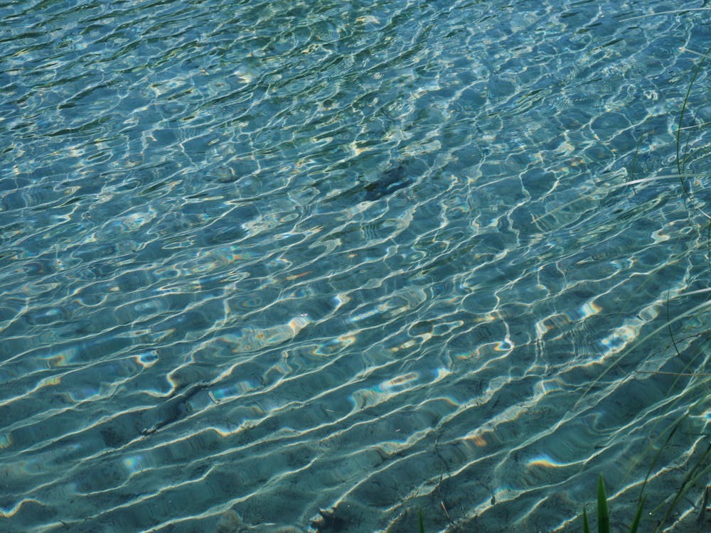 Kostenloses Stock Foto zu glänzend, klar, meer