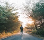 一名男子沿着阳光明媚的森林小路走着，四周树木环绕，晨光宁静