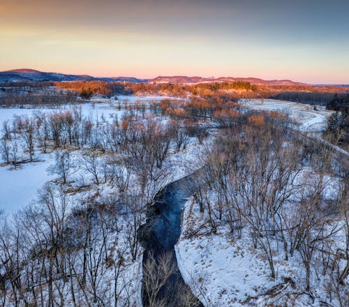 Leafless Trees on Snow Covered Field