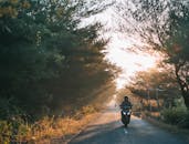 黎明时分，一名摩托车手穿行在风景优美的道路上，阳光透过森林洒下，四周环绕着大自然