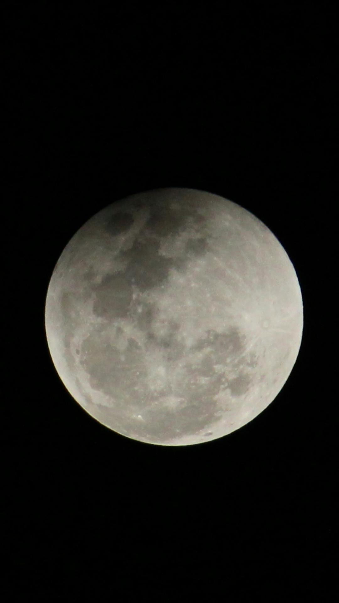 Free stock photo of beautiful view, full moon, Full moon day