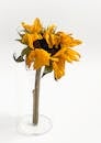 Yellow Sunflower in Clear Glass Vase