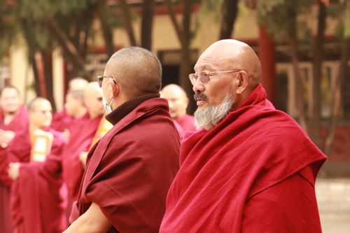Free A group of monks in traditional red robes attending a religious ceremony outdoors. Stock Photo