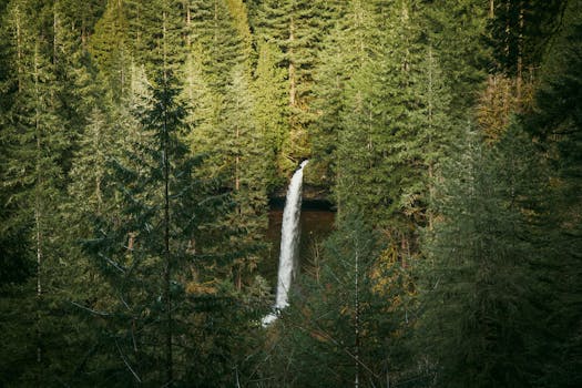 Majestic waterfall cascading through lush evergreen forest in Sublimity, Oregon.