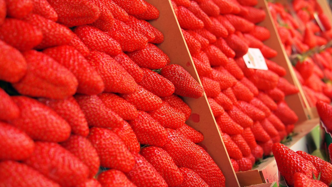 Erdbeerfrucht