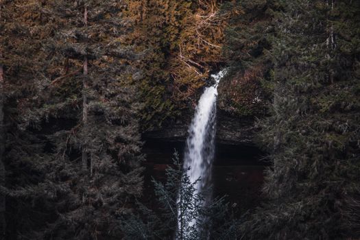 Captivating waterfall flowing amidst dense evergreen forest in Sublimity, Oregon.