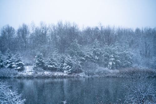 Free A tranquil winter scene with snow-covered trees and a peaceful lake in Vaughan, Canada. Stock Photo