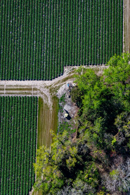 Top View of a Farm Land