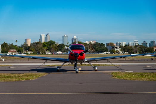 Tampa, United States photo 2