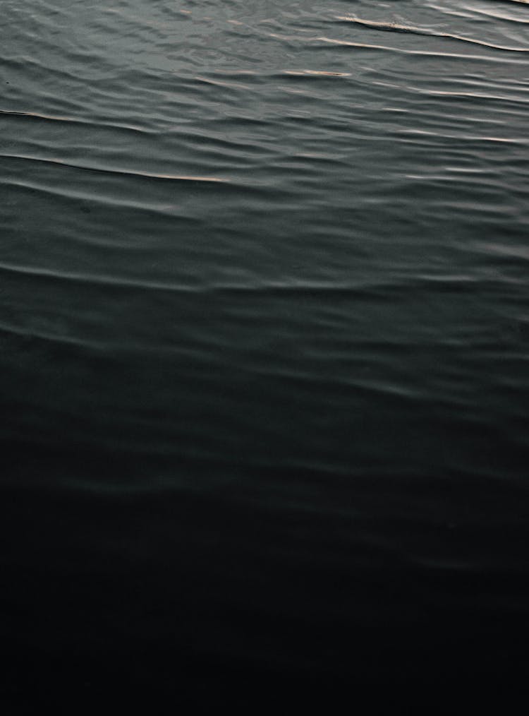 Black Sea Water Texture