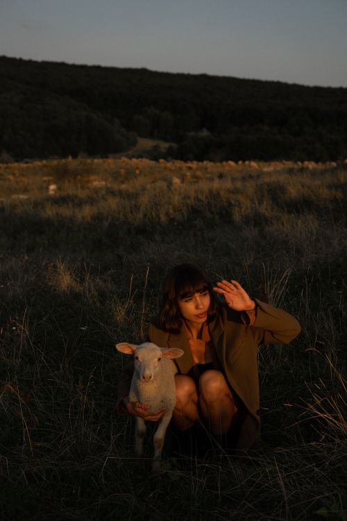 Free A young woman with a lamb, sitting in a meadow during sunset, creating a serene pastoral scene. Stock Photo