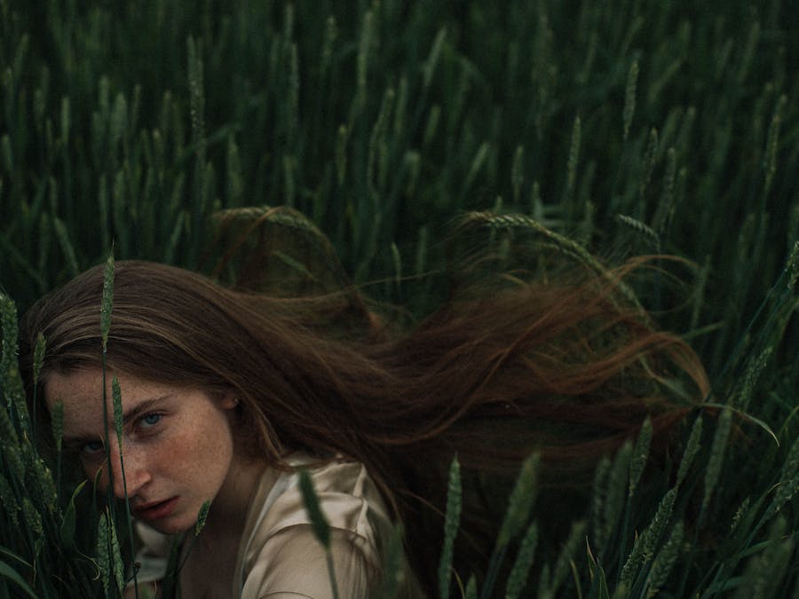 Photo by Anna  Shevchuk