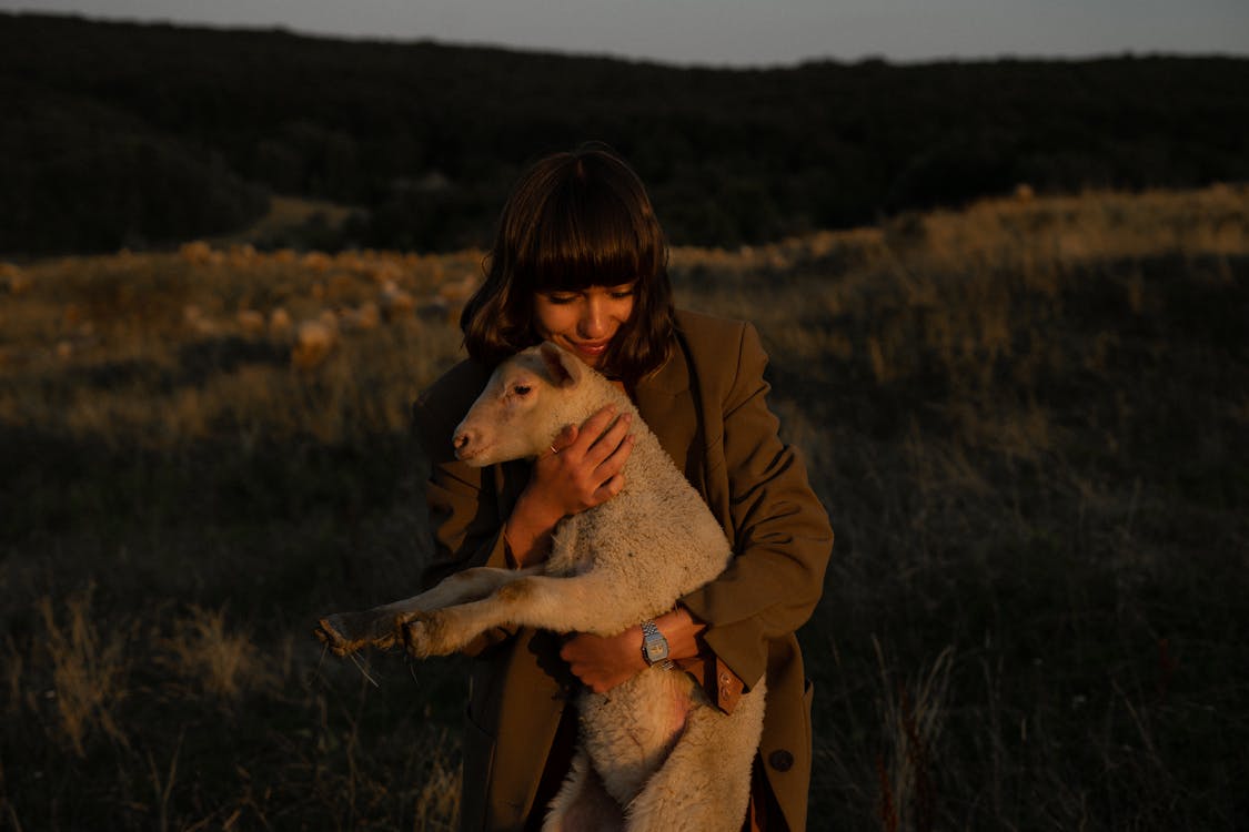 Free Nice Girl in Coat Cuddling White Lamb Stock Photo