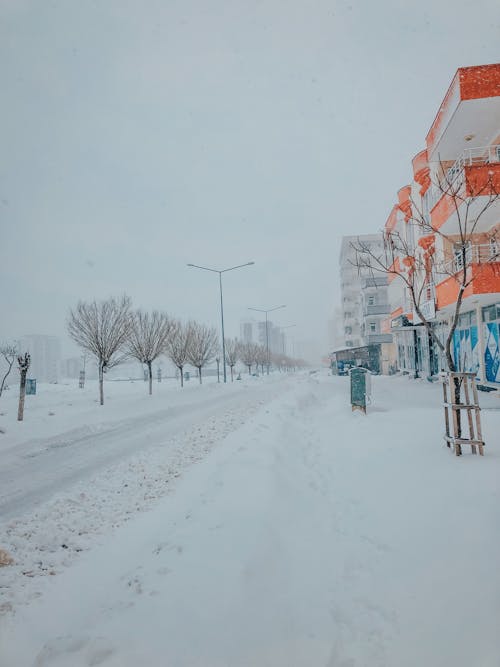 Gratis stockfoto met besneeuwd, betonnen gebouwen, bevriezen