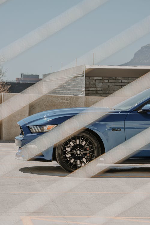 Blue Mustang GT Behind the Gate Bars