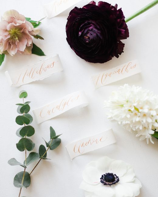 Artistic photo featuring floral arrangement with calligraphy labels on white background, showcasing elegance.