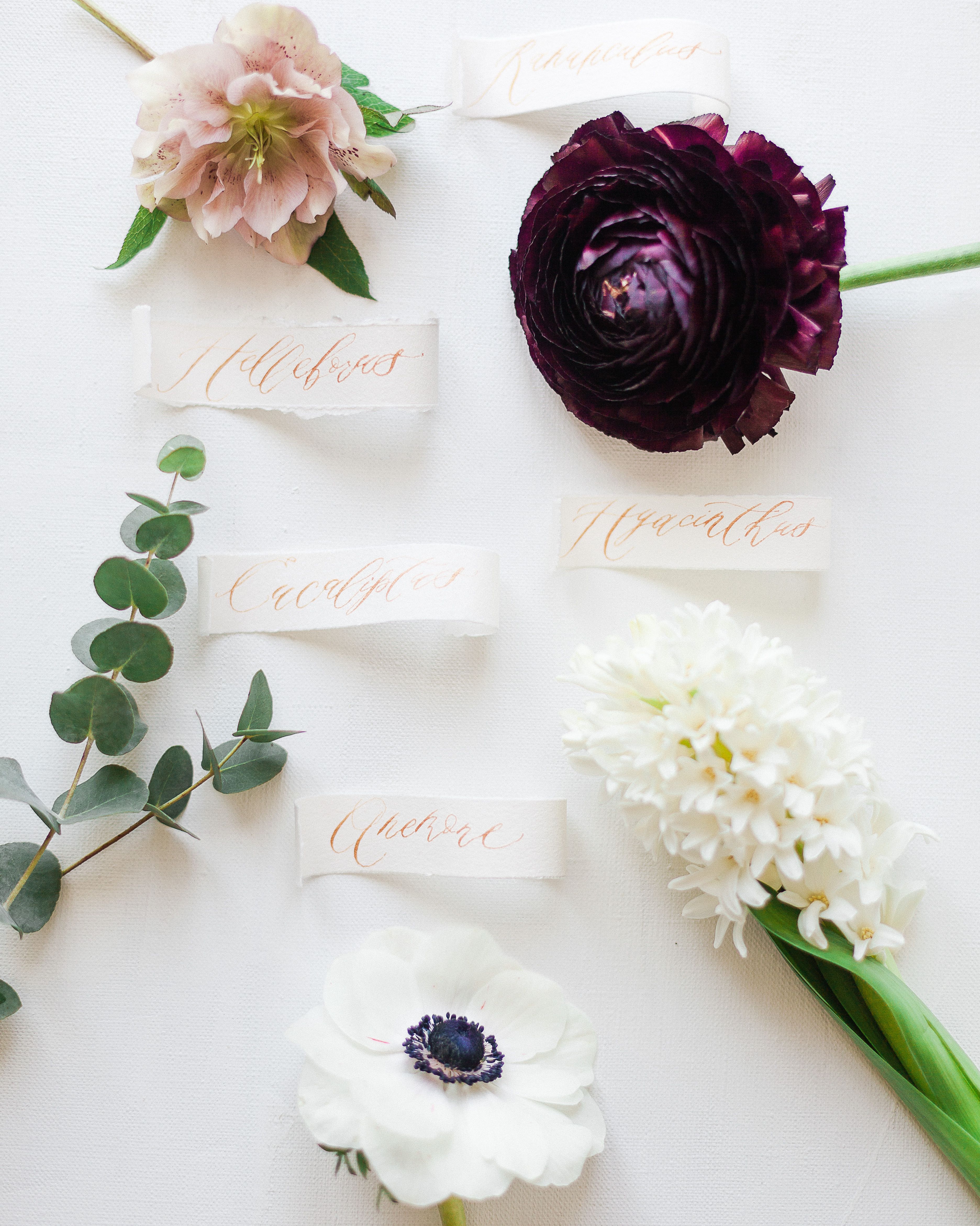 Assorted Flowers and Tags on White Surface · Free Stock Photo
