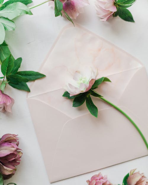 Free Flowers on and around an Envelope on Desk Stock Photo