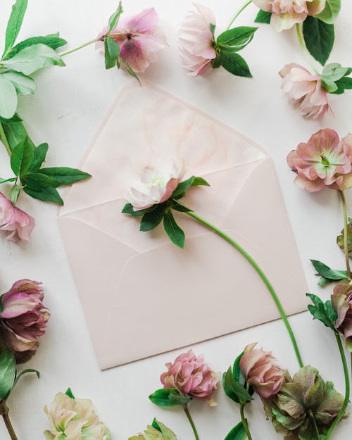 Free Pink and White Flowers on White Paper Stock Photo