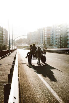 A horse-drawn carriage travels down an urban road at sunrise, creating a nostalgic atmosphere.