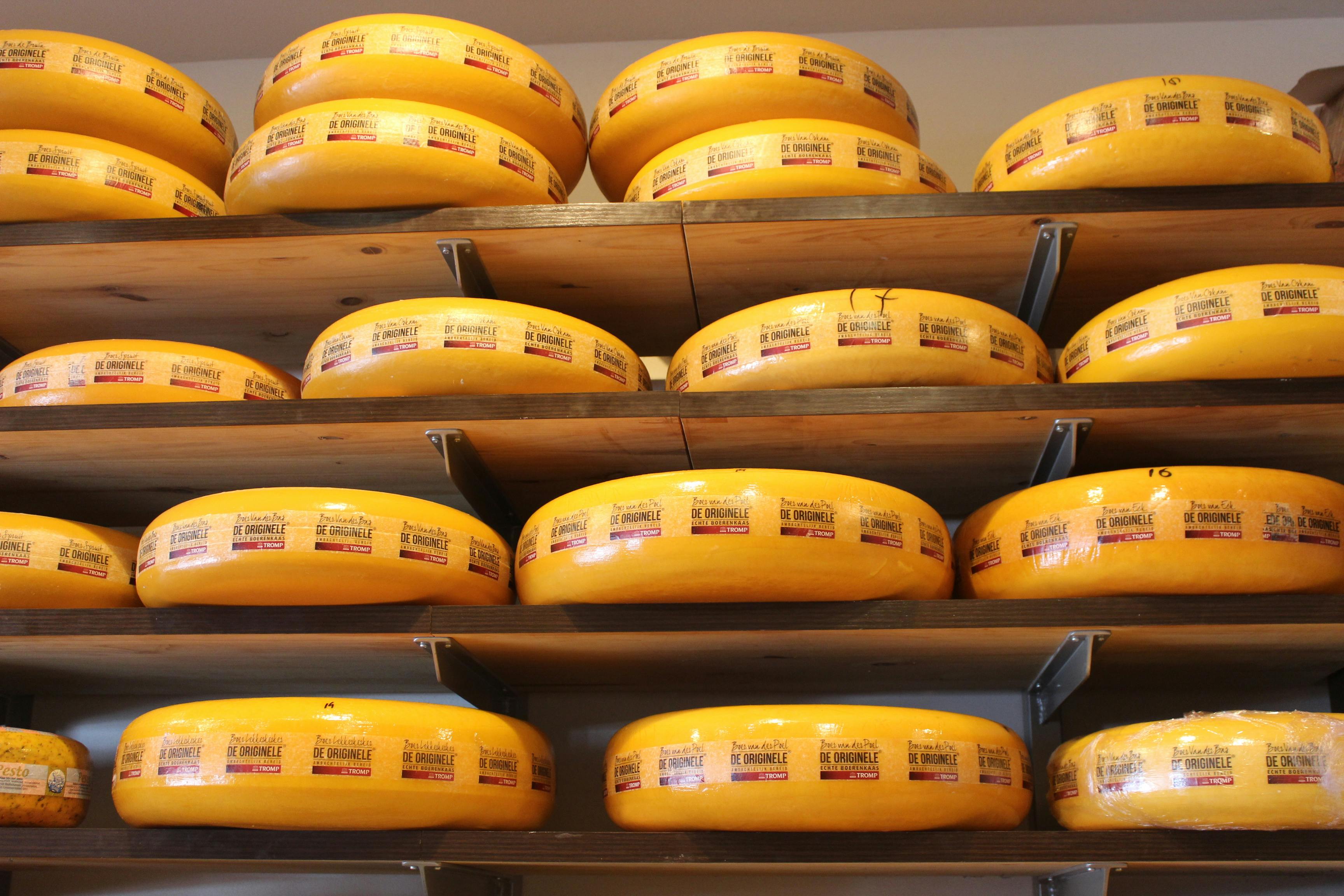 Free stock photo of cheese, dutch, gouda