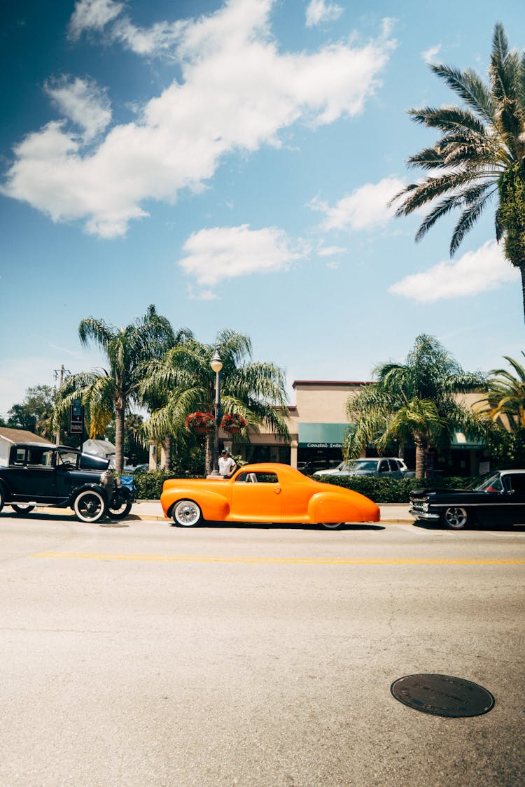 Vintage Cars Parked Near Palm Trees