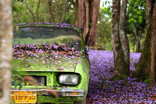 Gratis Immagine gratuita di amante della natura, auto, meteo Foto a disposizione
