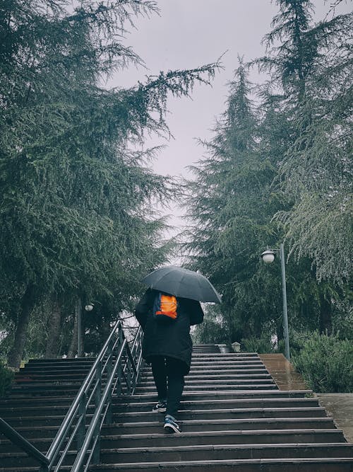 A Person Walking on the Stairs with Umbrella