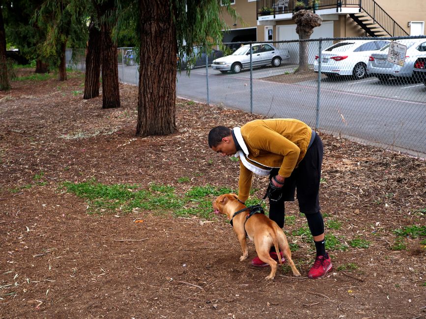 dog manners training Daly City dog manners training Daly City