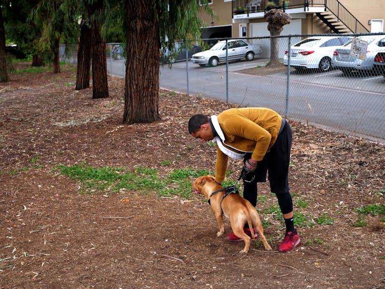 A Man Holding A Dog In The Park 