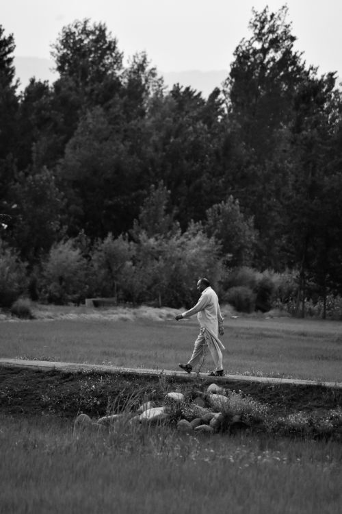 Free A black and white photograph of a man walking along a path lined with trees. Stock Photo