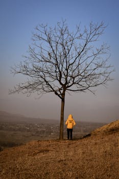 Person in hoodie stands by a barren tree on a scenic hilltop during fall.