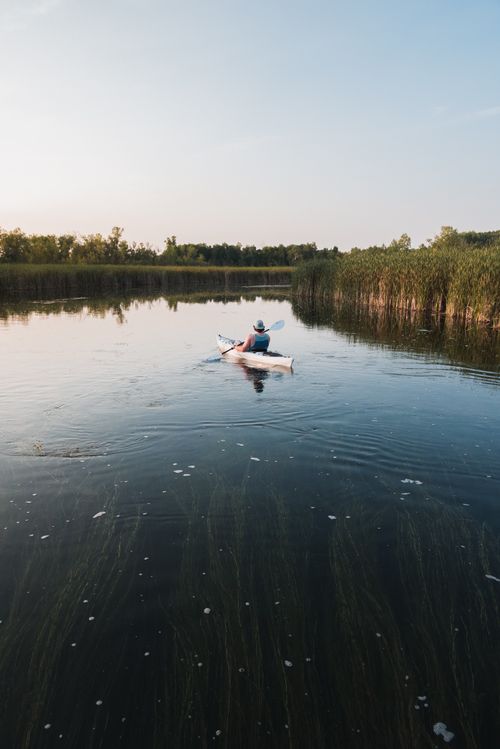 Free A lone kayaker paddles through a serene lake in Alexandria, MN, surrounded by lush greenery. Stock Photo