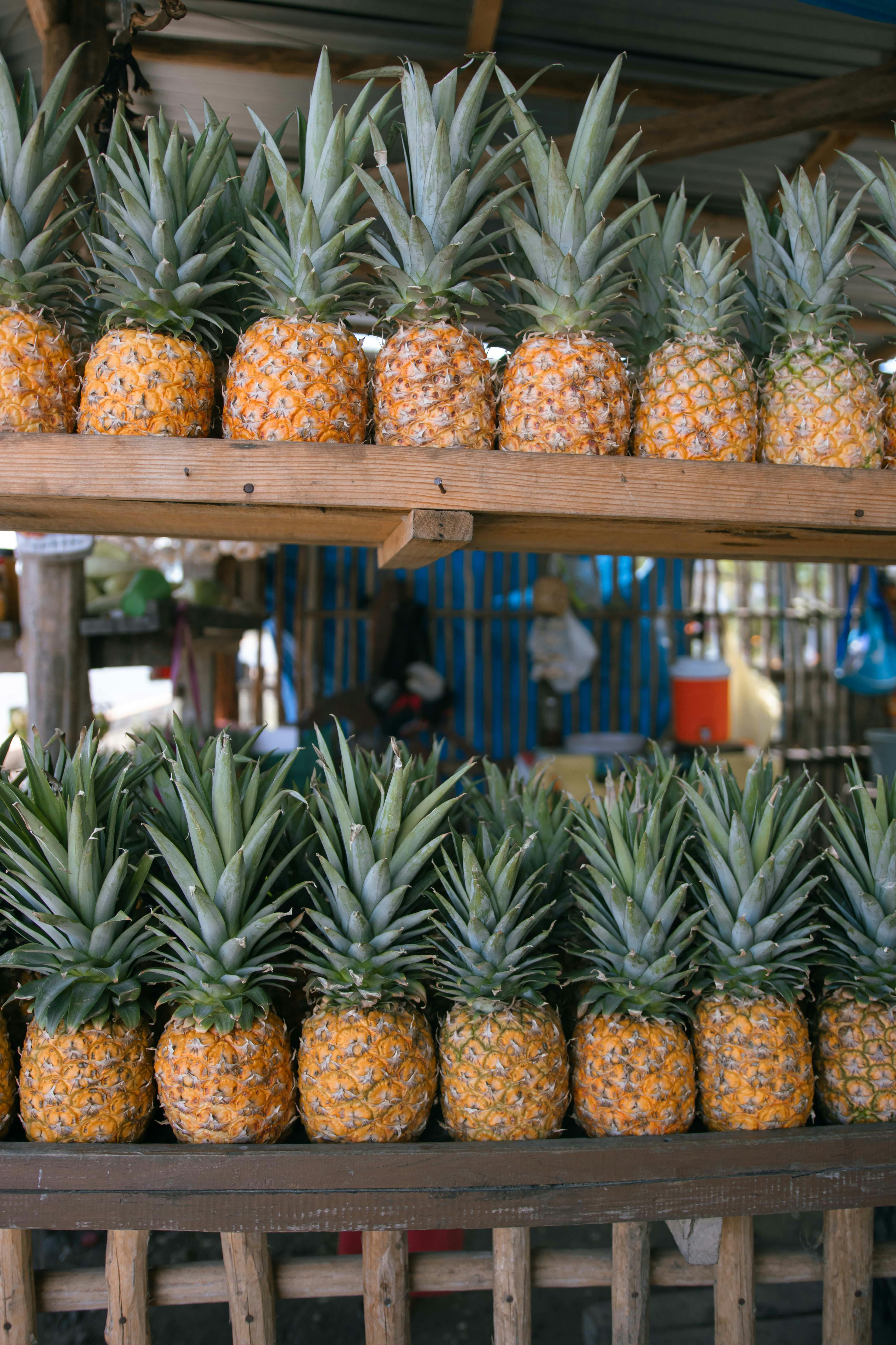 rows of pineapples in farmers market