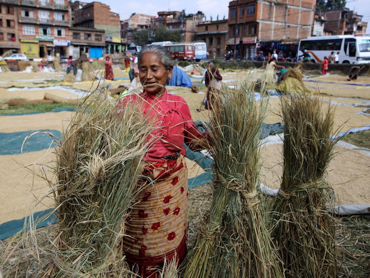 Senior Woman Smiling And Holding Bundle Of Cut Grasses