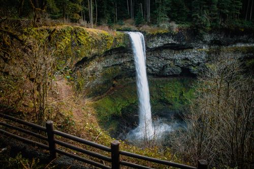 Free Scenic view of a waterfall in Silver Falls State Park, Oregon. Stock Photo