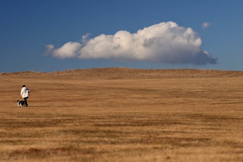 A Person Waking with Her Dog on a Brown Field Under Blue Sky