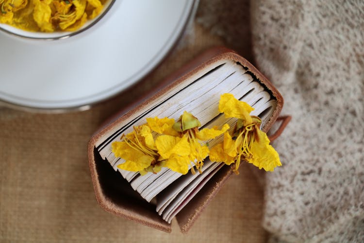 Flower Petals On Top Of Books Standing In Wooden Box