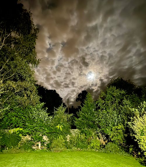 Free Oxfordshire Night Sky Stock Photo