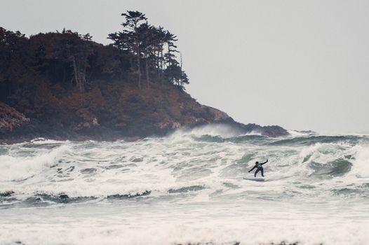 Nice Wave Dude