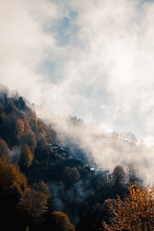 Kostnadsfri bild av berg, dimmig dag, falla