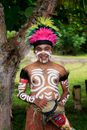 Man in Red and White Long Sleeve Shirt With Purple and White Feather Headdress