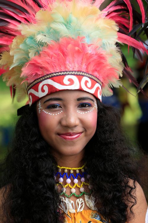 Free Traditional Papua portrait of smiling woman with vibrant feather headdress. Stock Photo