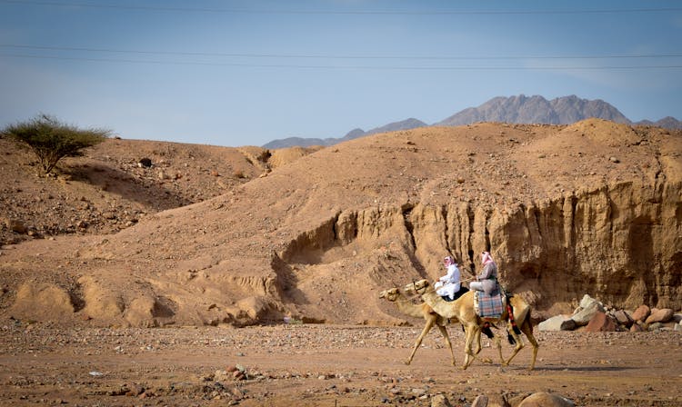 Men Riding Camels On Dirt Ground