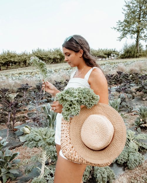 Free Woman in summer attire harvesting kale in a vibrant vegetable farm outdoors. Stock Photo