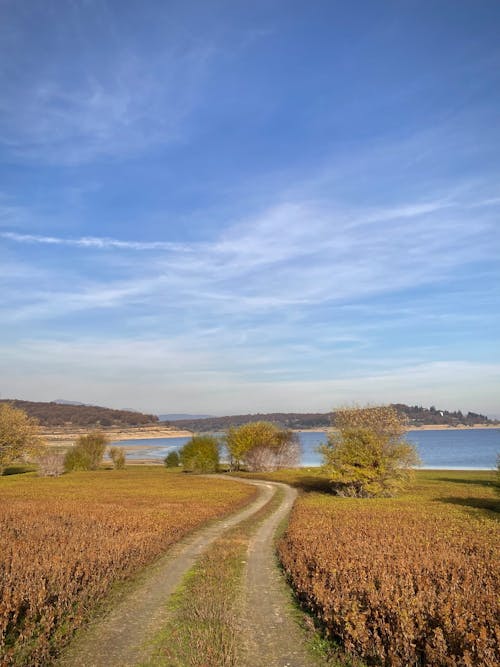 Základová fotografie zdarma na téma hnědá tráva, jezero, modrá obloha