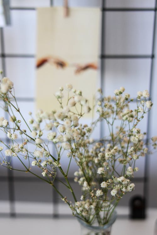 White Flowers in Clear Glass Vase