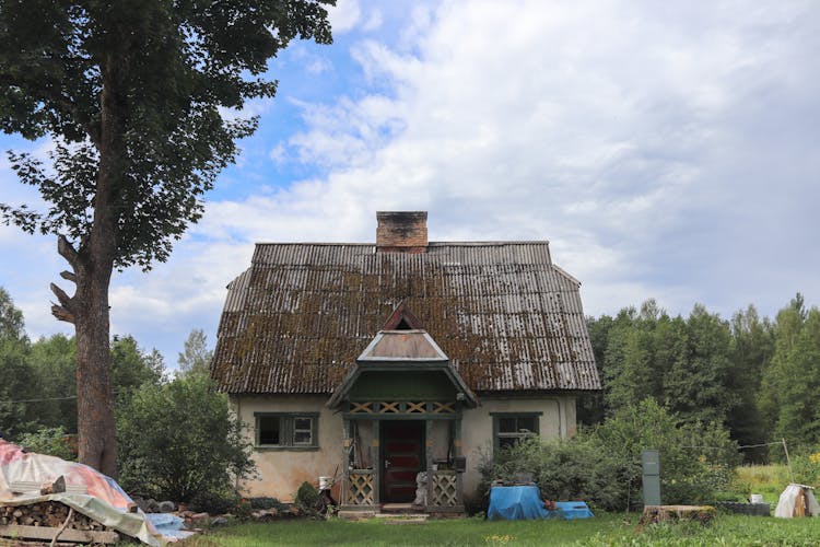 Old House By Edge Of Forest